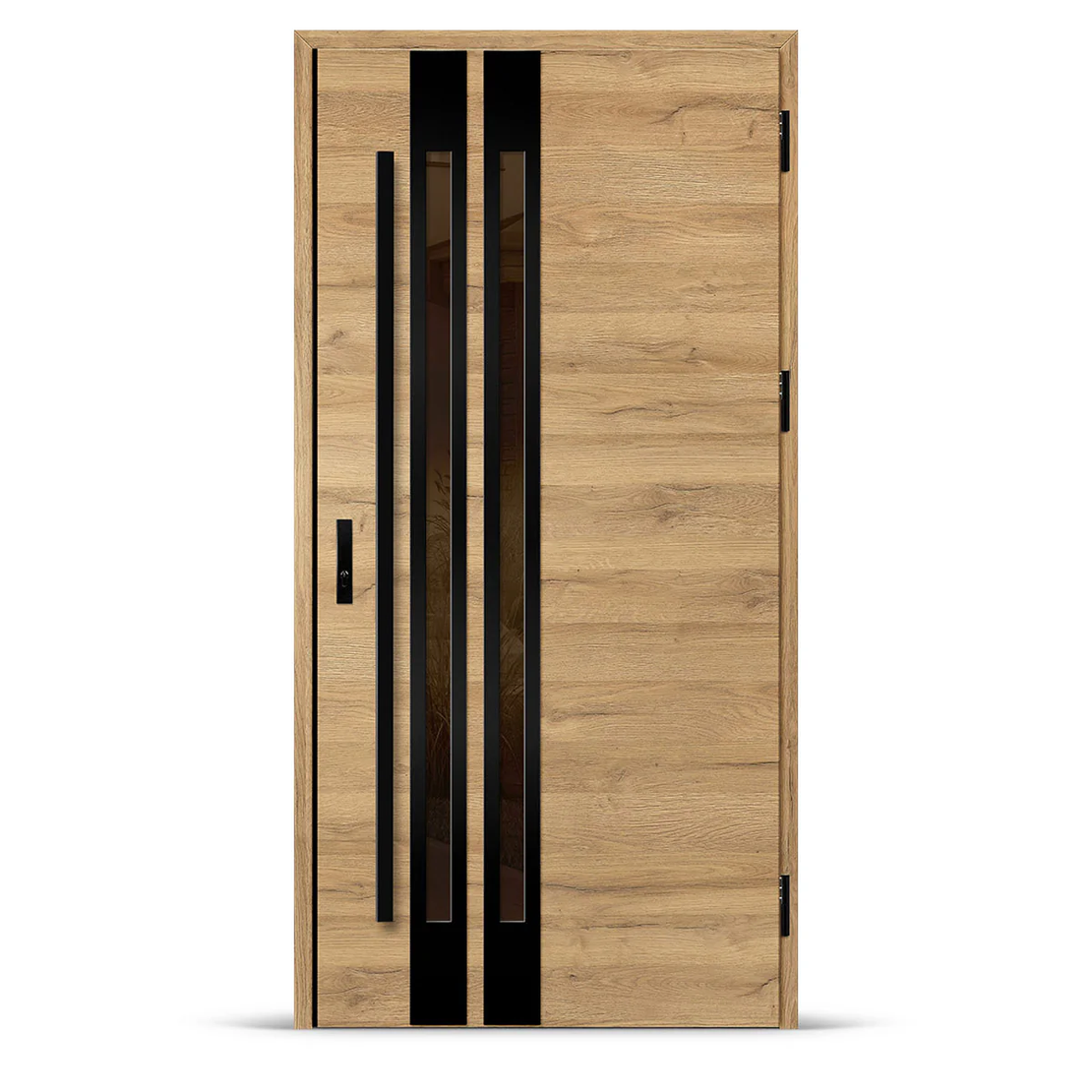 Входна врата LEIMEN 2