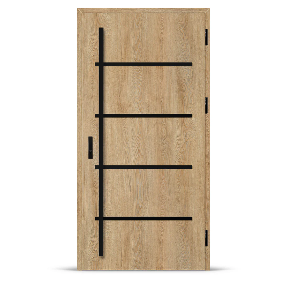 Входна врата BIENE 2