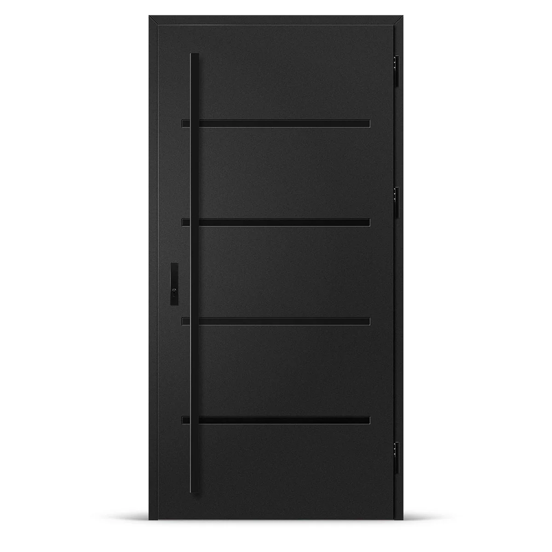 Входна врата BIENE 2