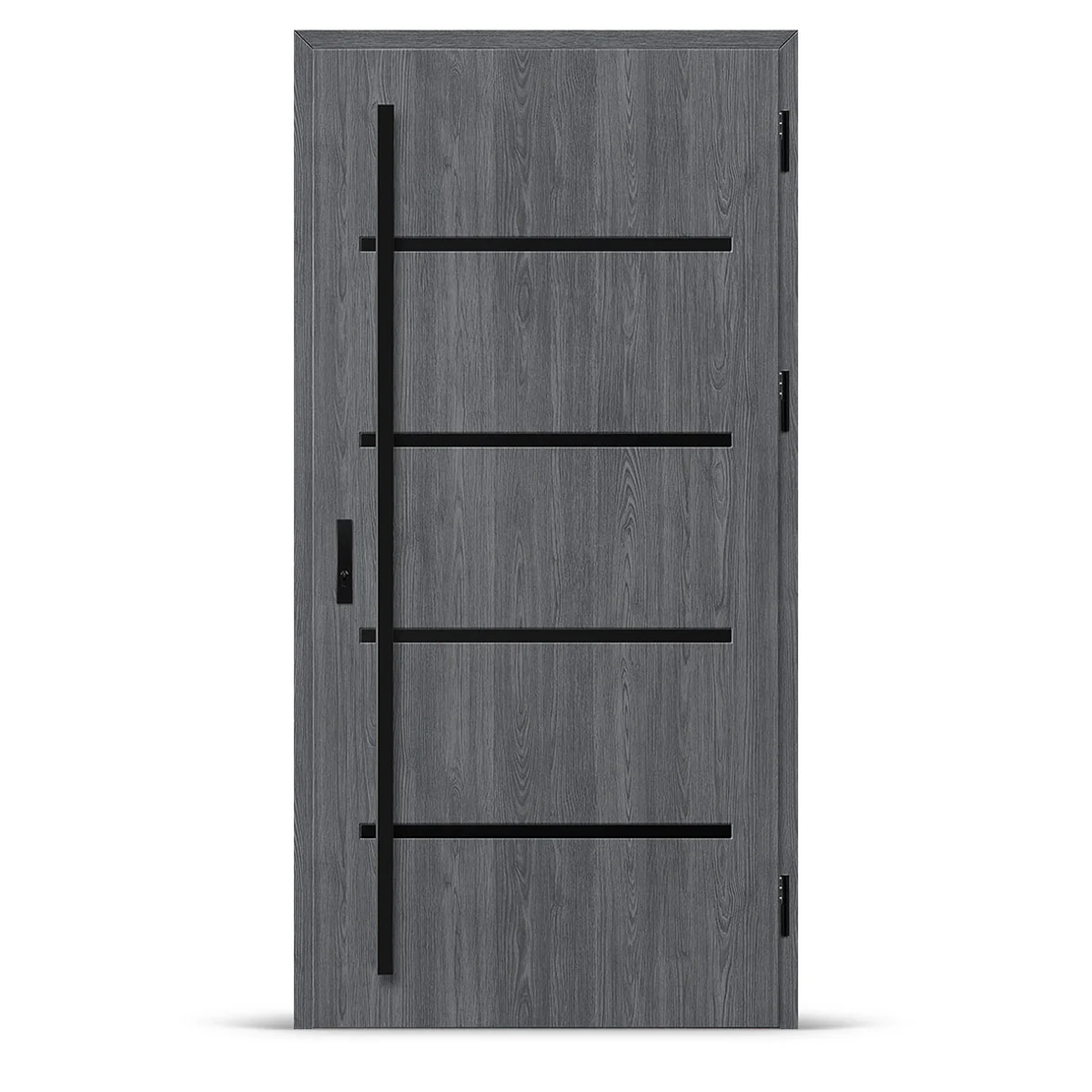 Входна врата BIENE 2