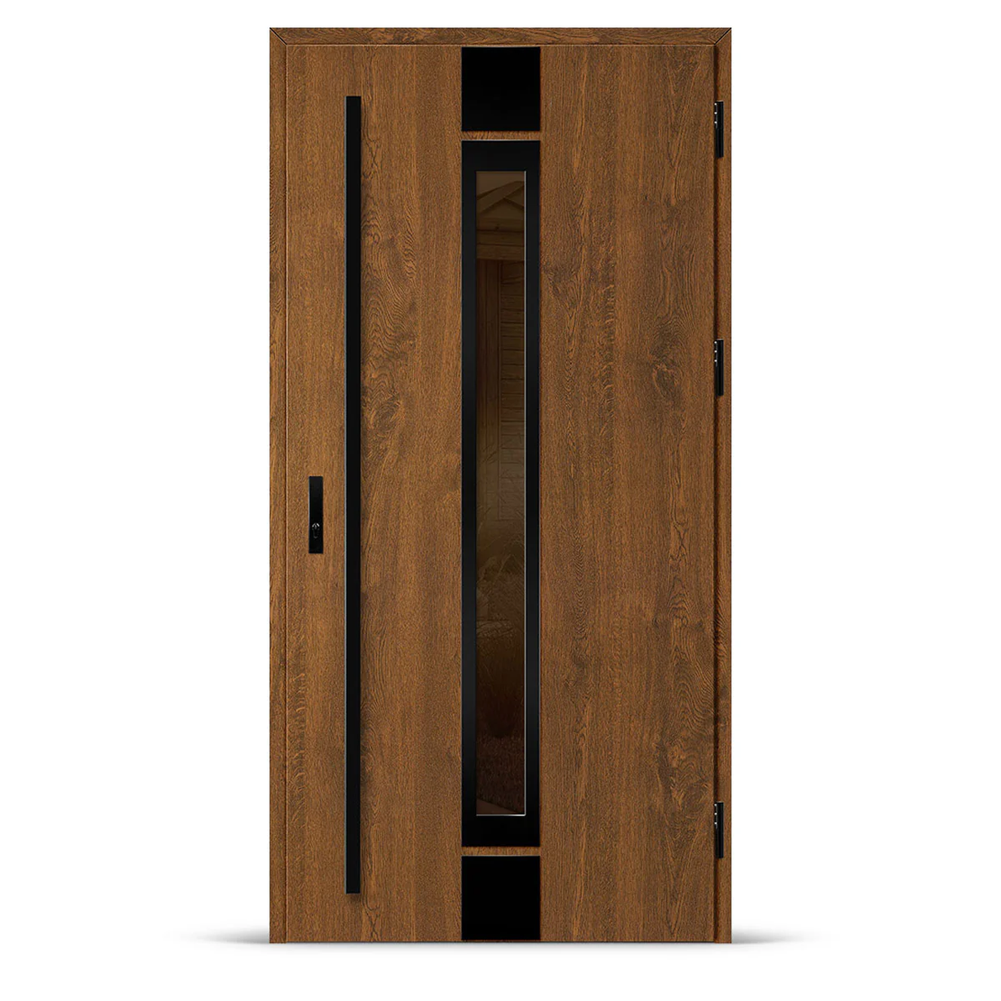 Входна врата SINGEN 3