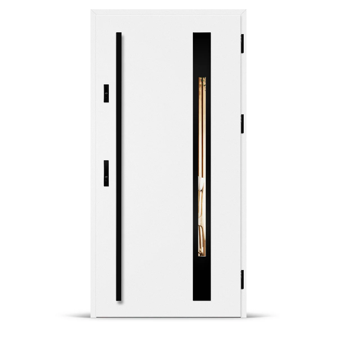 Входна врата WELS 3