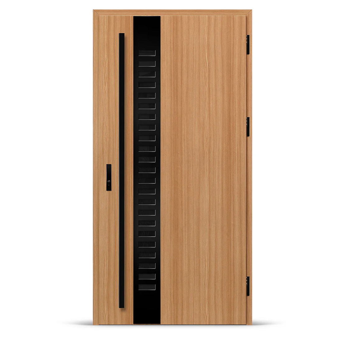 Входна врата SELTERS 2