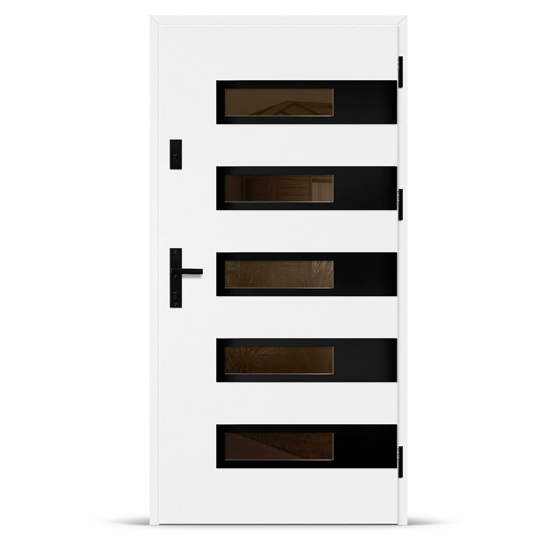 Входна врата RODING 2