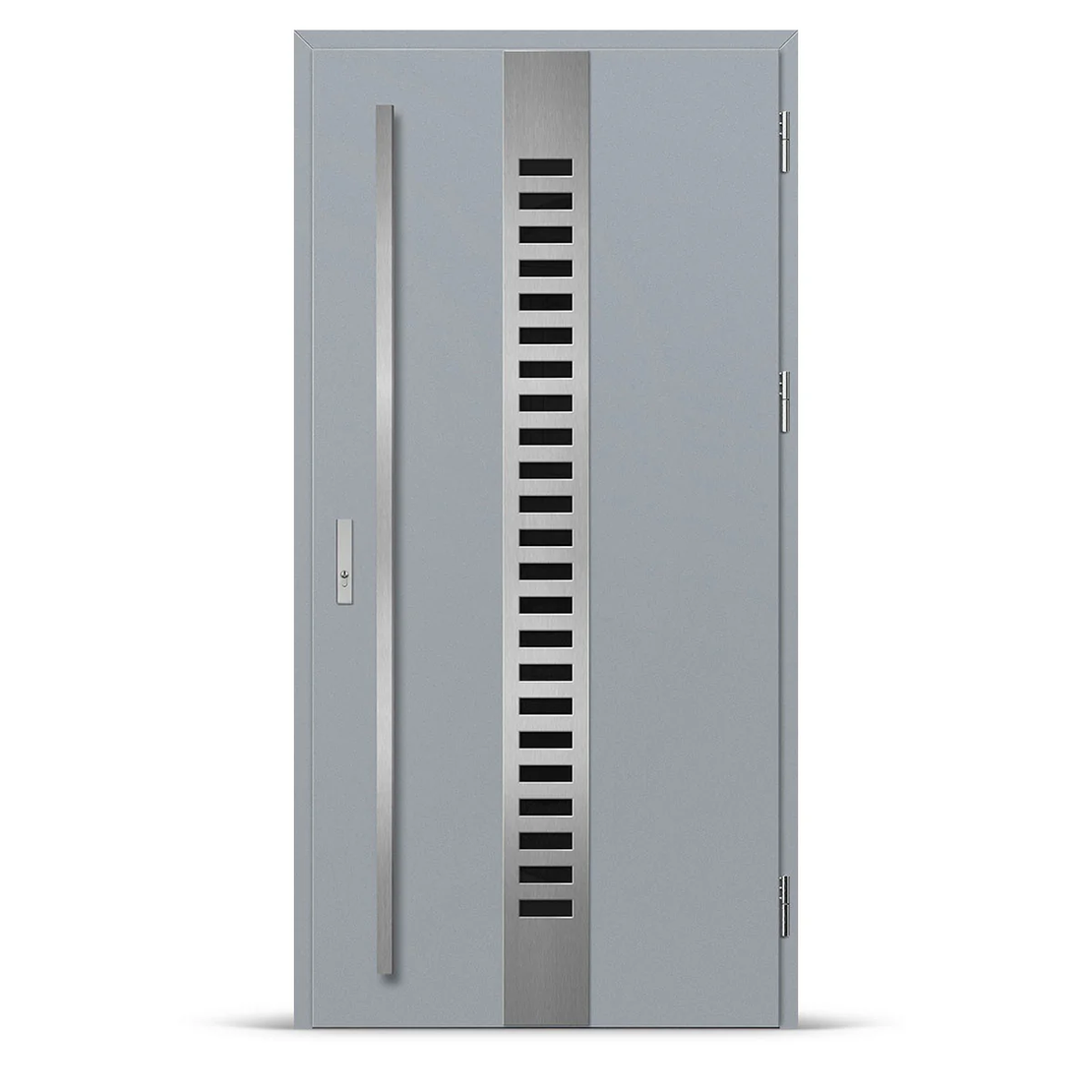 Входна врата SELTERS 1