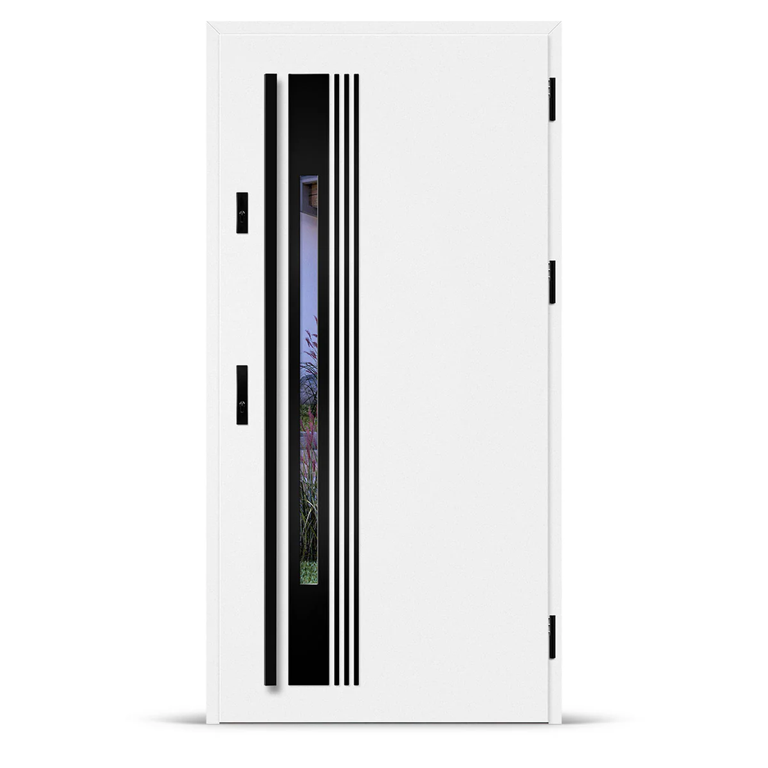 Входна врата WELS 4