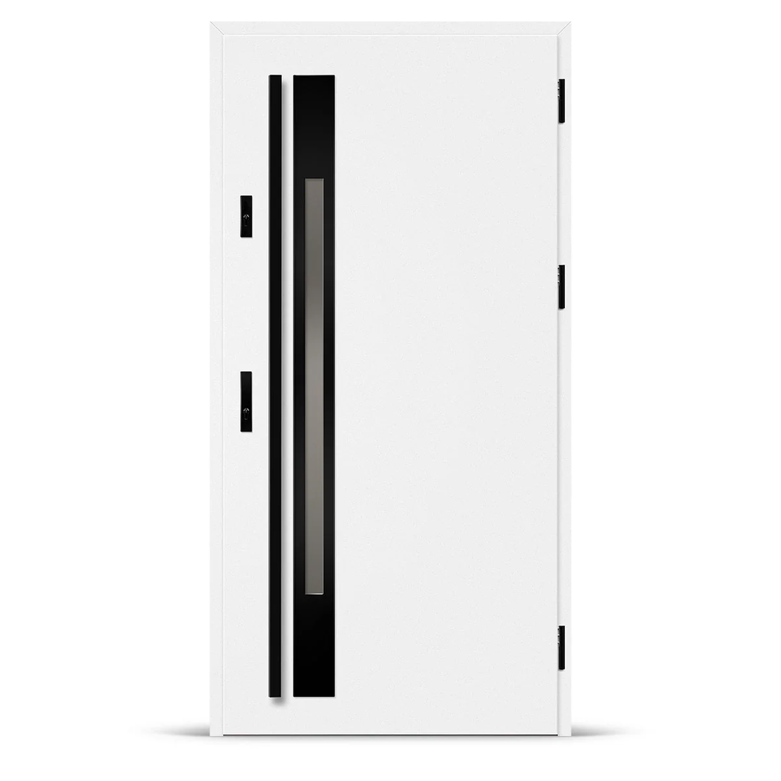 Входна врата WELS 1