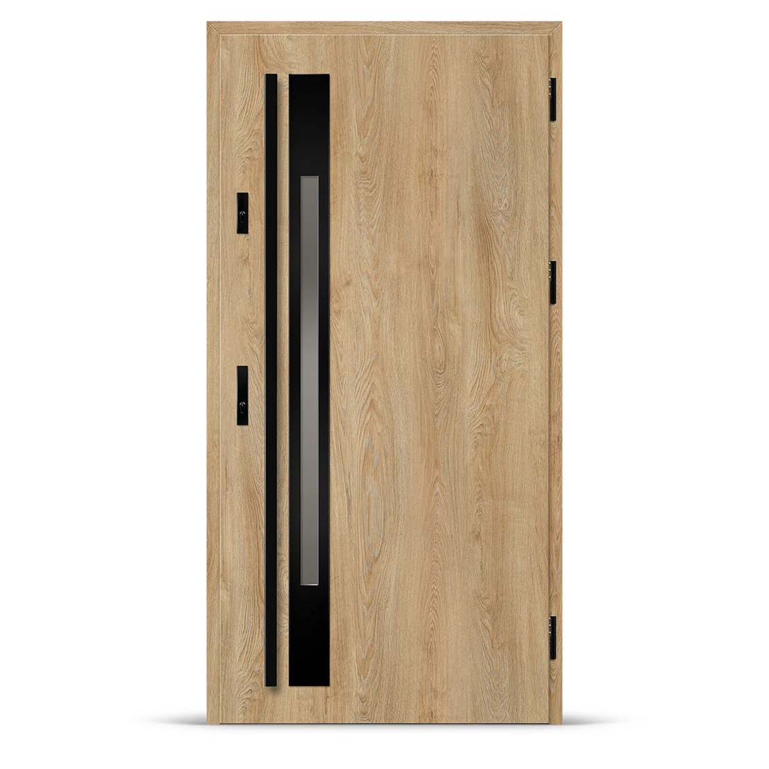 Входна врата WELS 1