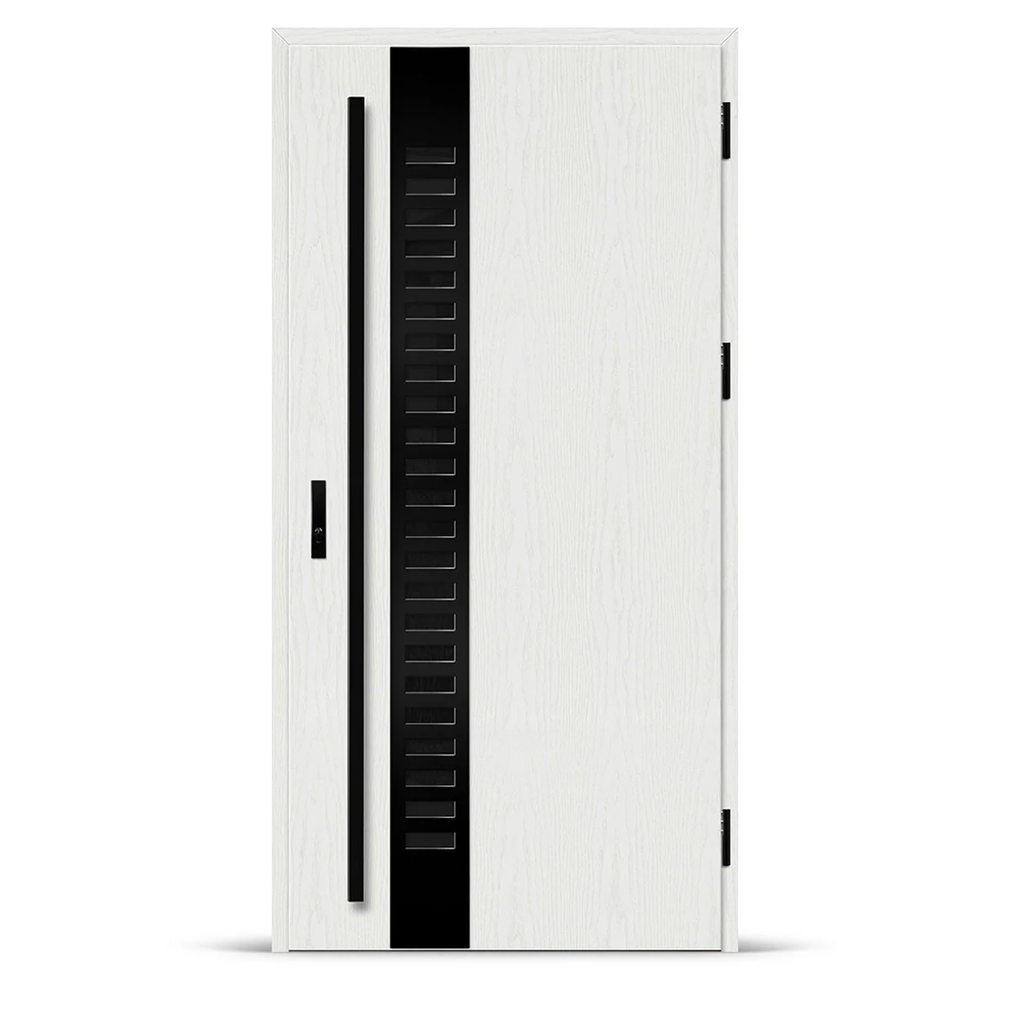 Входна врата SELTERS 2