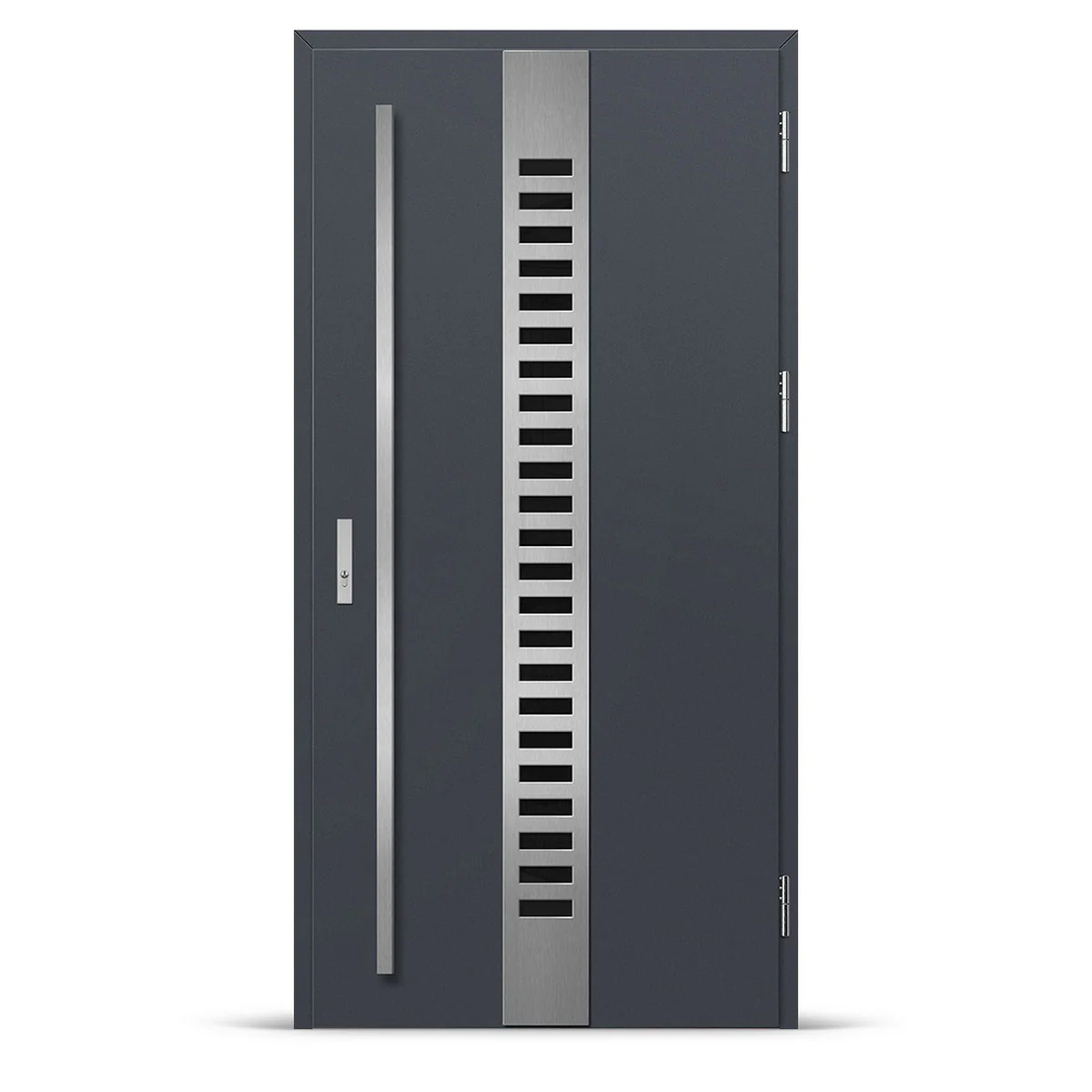 Входна врата SELTERS 1