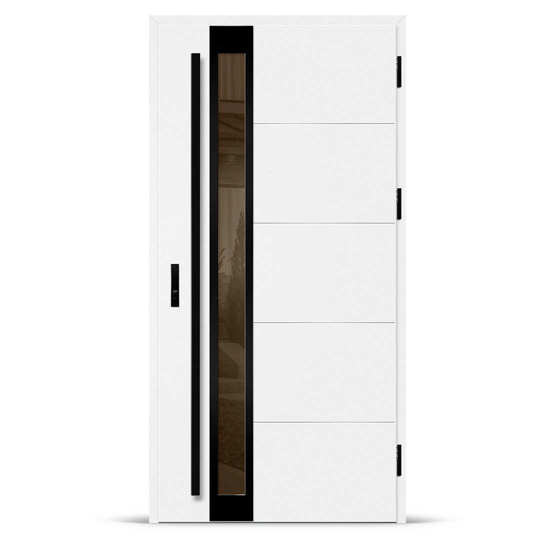 Входна врата SINGEN 6