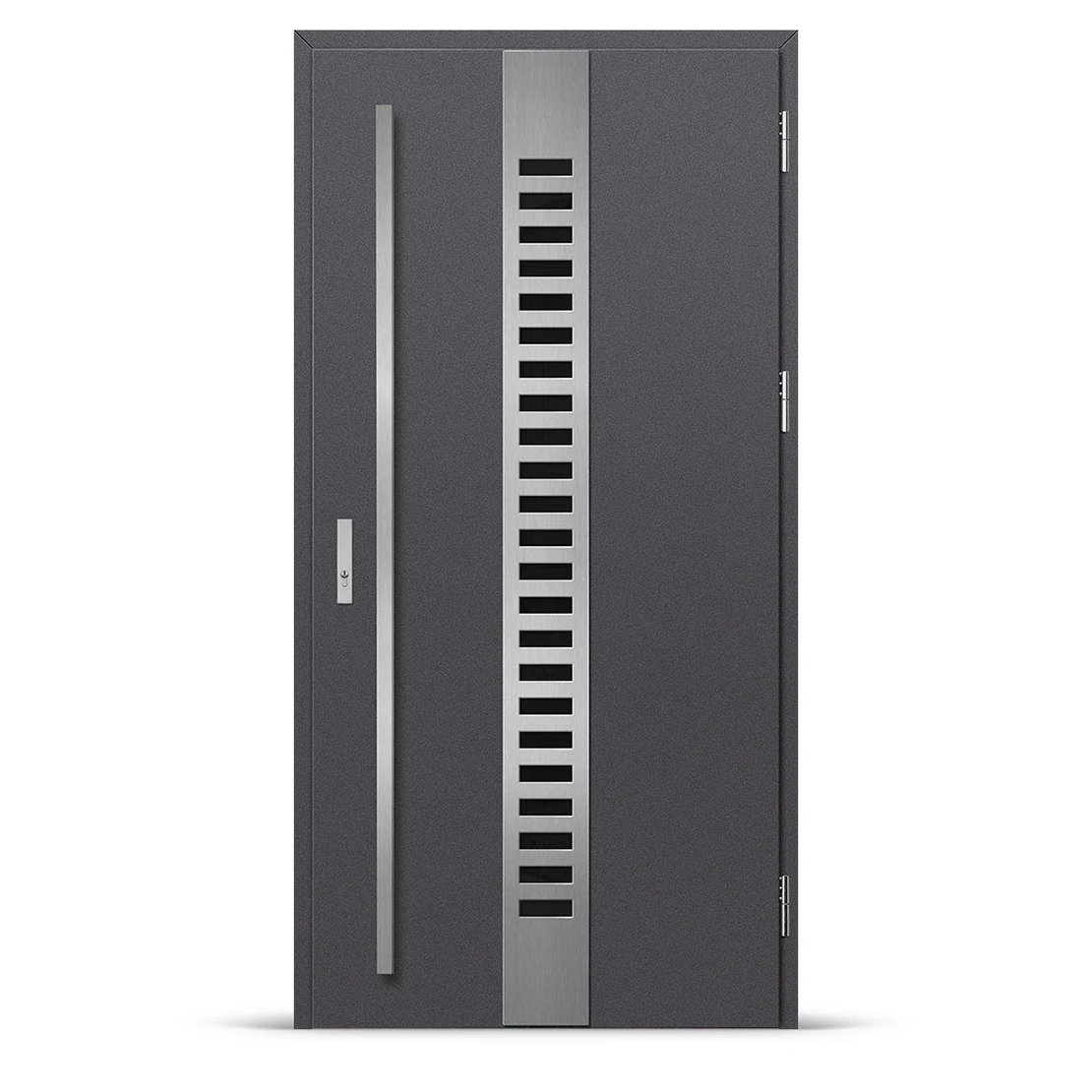 Входна врата SELTERS 1