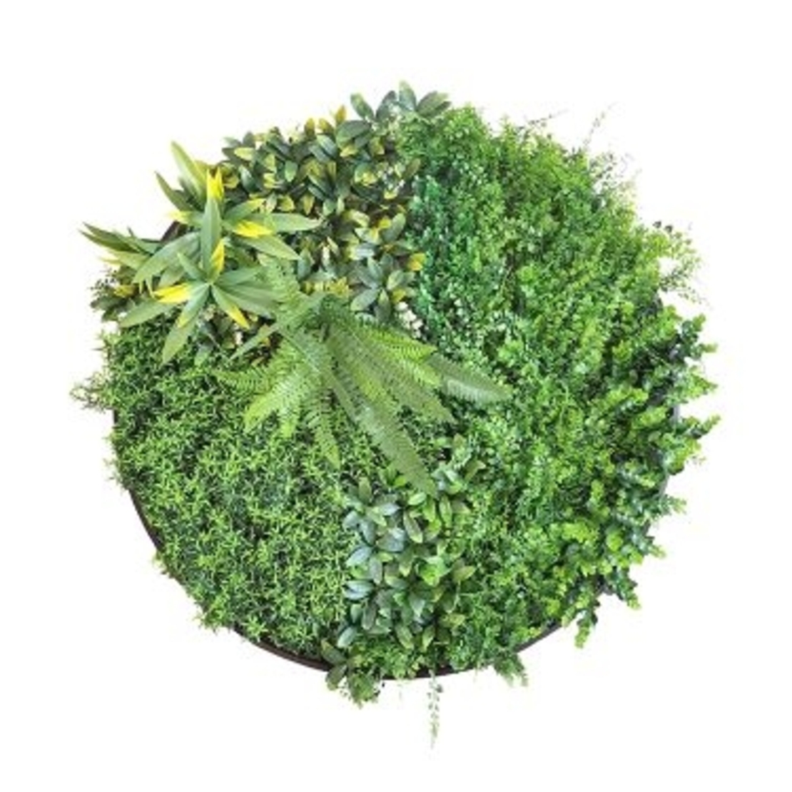 Пано ф80см изкуствена зелена декорация My Garden Beauty Secret Frame CCGA110V