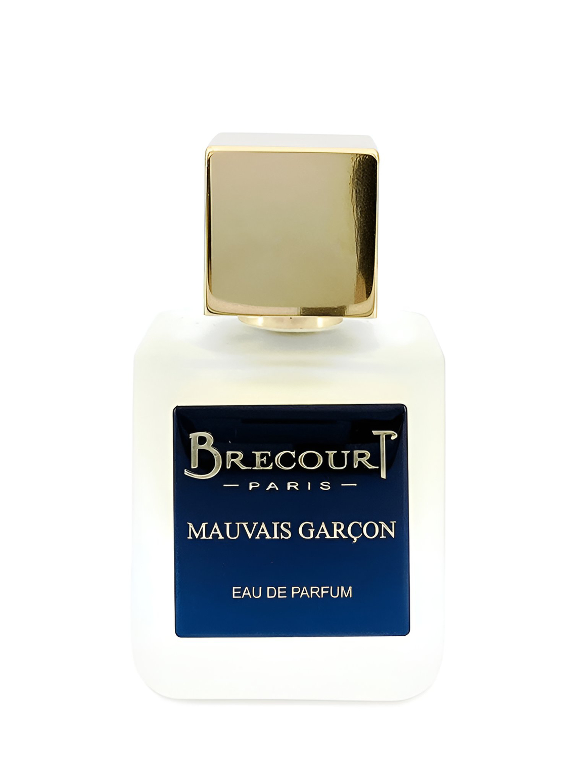 Brecourt Mauvais Garcon