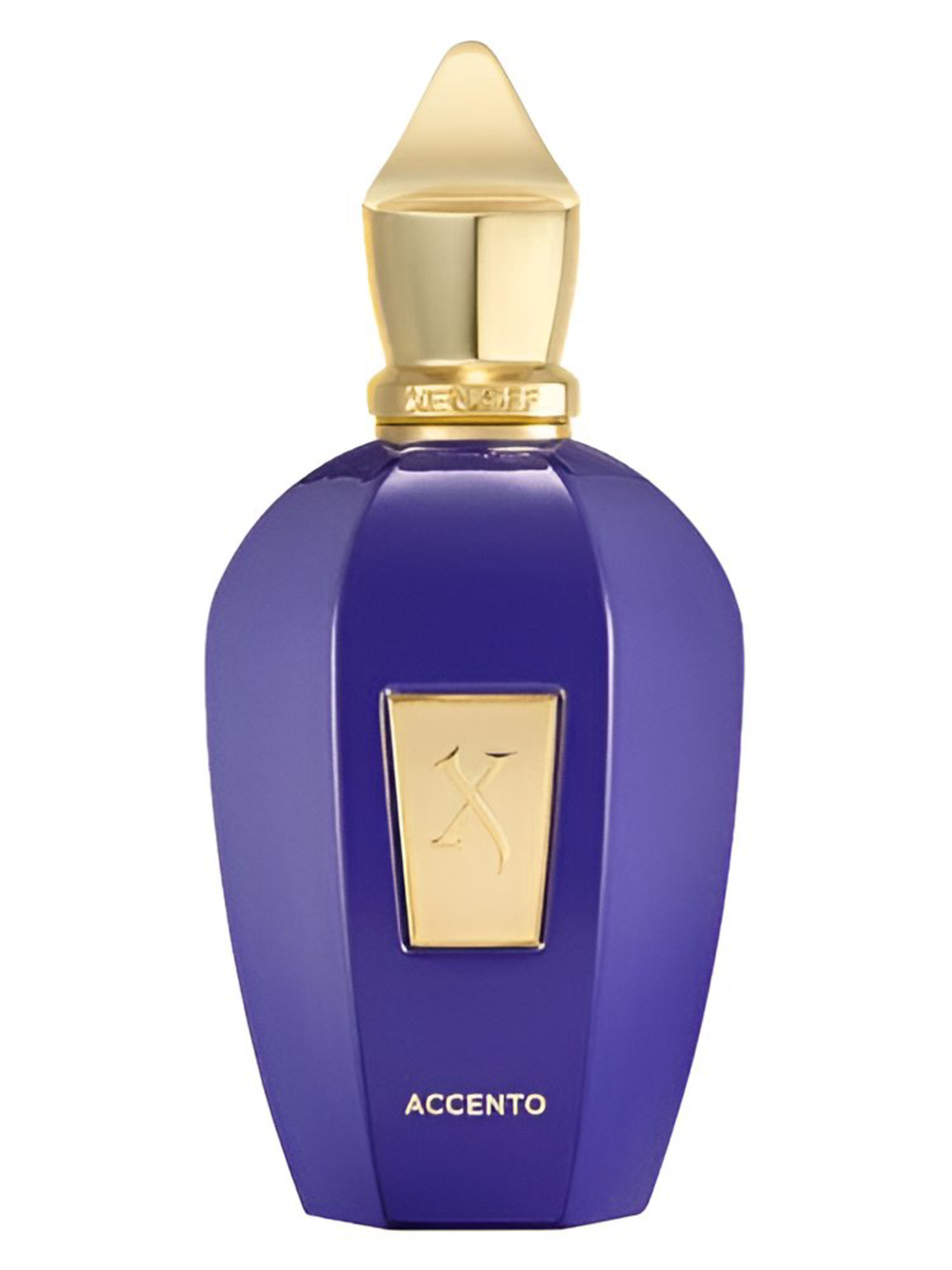 Xerjoff Accento EDP 100 ml U