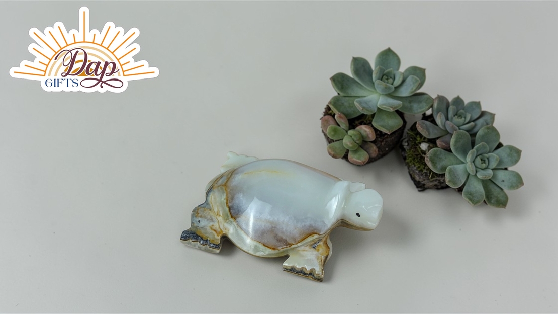 ОНИКС Костенурка  (5300001)