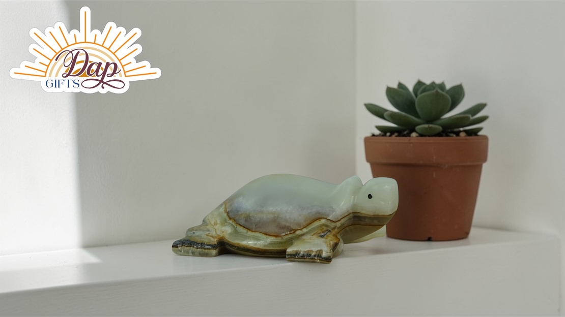 ОНИКС Костенурка  (5300001)