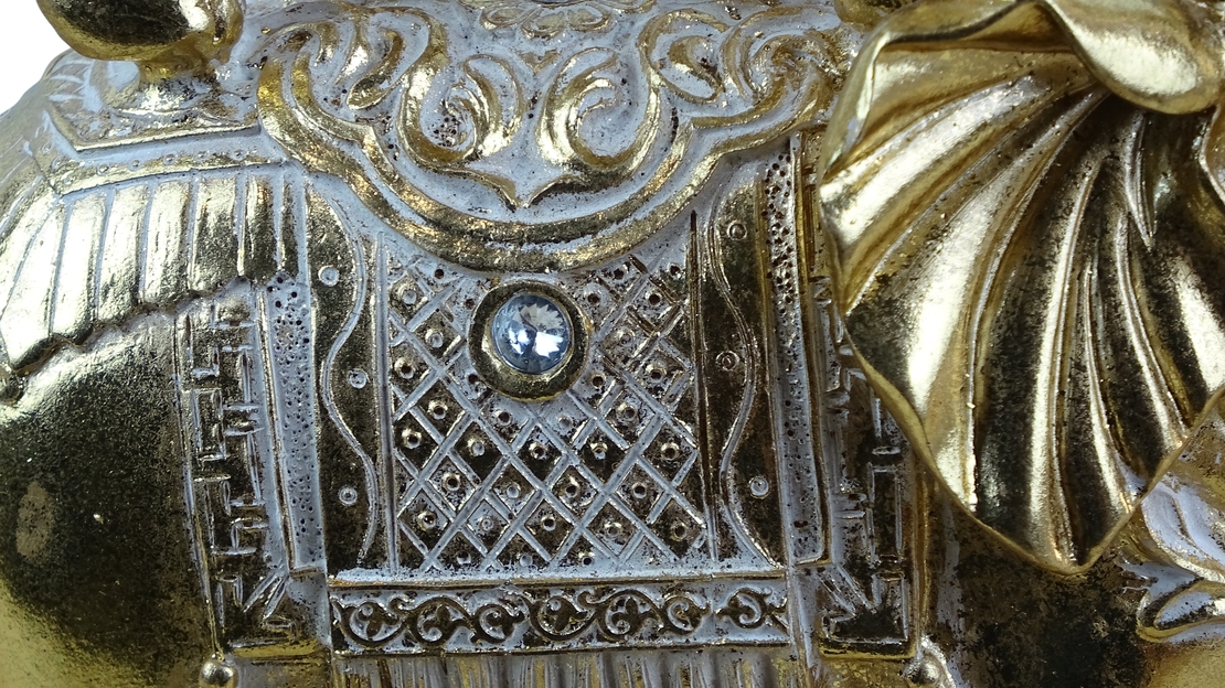 Семейство Слонове (4342859)