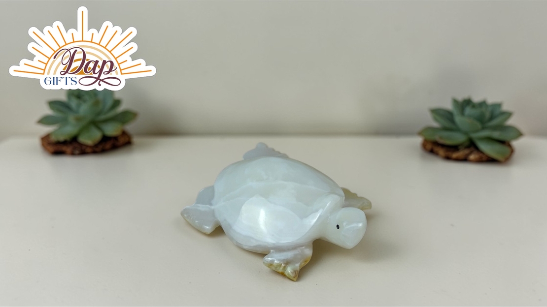 ОНИКС Костенурка (5300000)