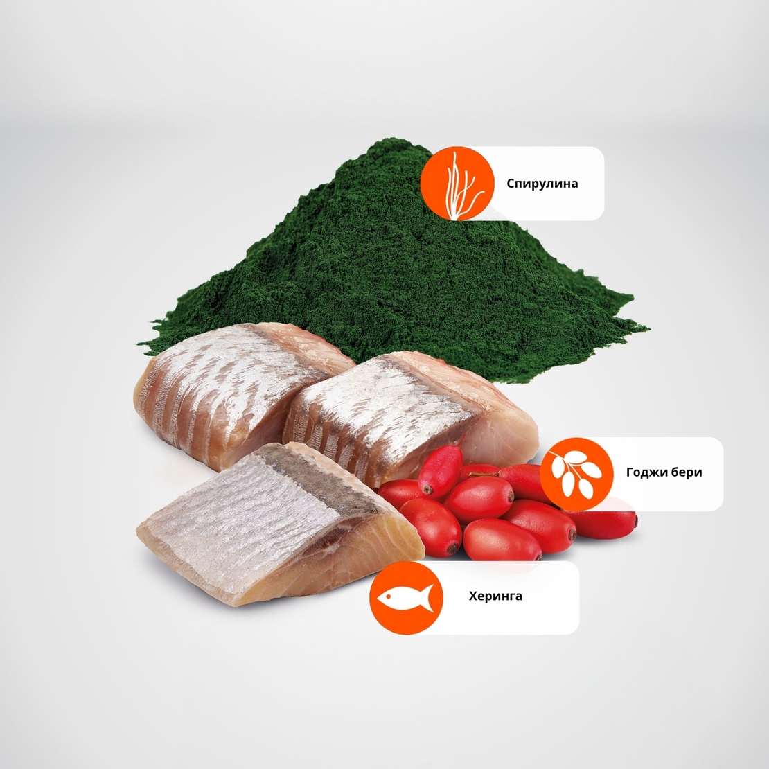 N&D Spirulina Herring & Wolfberry Adult Cat – суха храна без зърнени култури за котки над 1 година, с херинга, спирулина и годжи бери