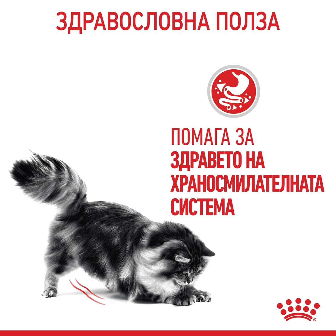 ROYAL CANIN® FCN CARE DIGEST SENSITIVE CAT за котки в зряла възраст (хапки в сос)