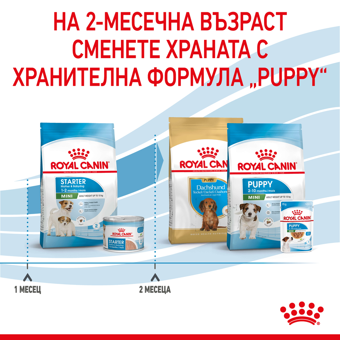 ROYAL CANIN MINI Starter Mother & Babydog 1 кг