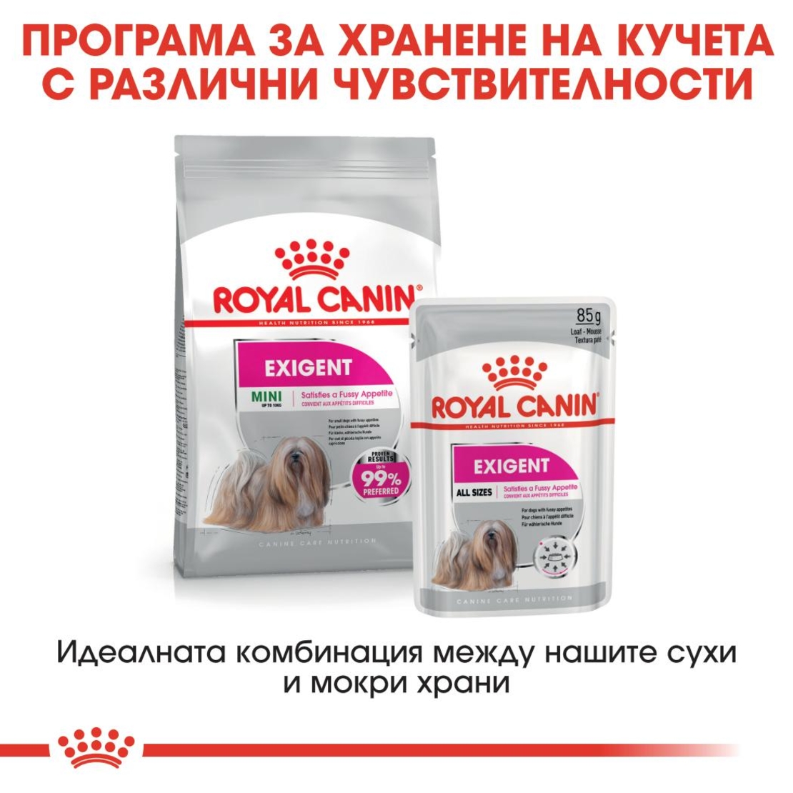 ROYAL CANIN® CCN MINI EXIGENT за кучета в зряла и напреднала възраст от дребни породи (от 1 до 10 кг) - над 10 месеца - кучета с капризен апетит