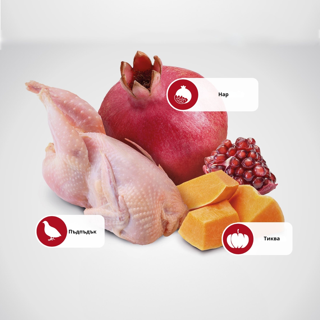 N&D Adult Cat Pumpkin Quail & Pomegranate – суха храна за котки без зърнени култури, с пъдпъдък, тиква и нар
