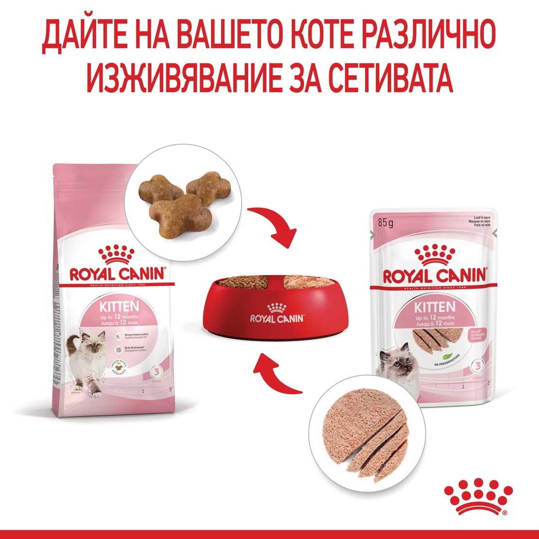 ROYAL CANIN® FHN KITTEN за 2-ра фаза на растеж при подрастващи котенца до 12 месеца (пастет)