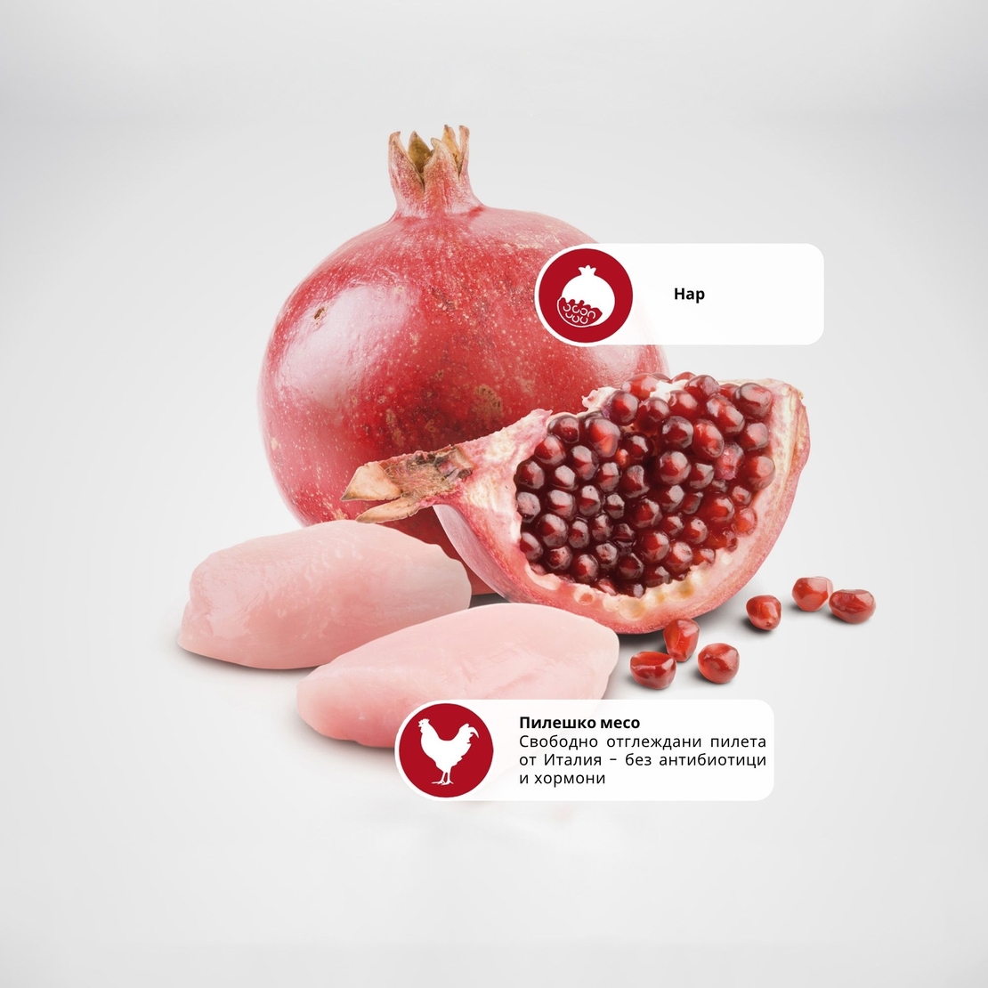 N&D Prime Chicken & Pomegranate Kitten – мокра храна без зърнени култури за подрастващи котенца до 1 година, с пилешко и нар, консерва