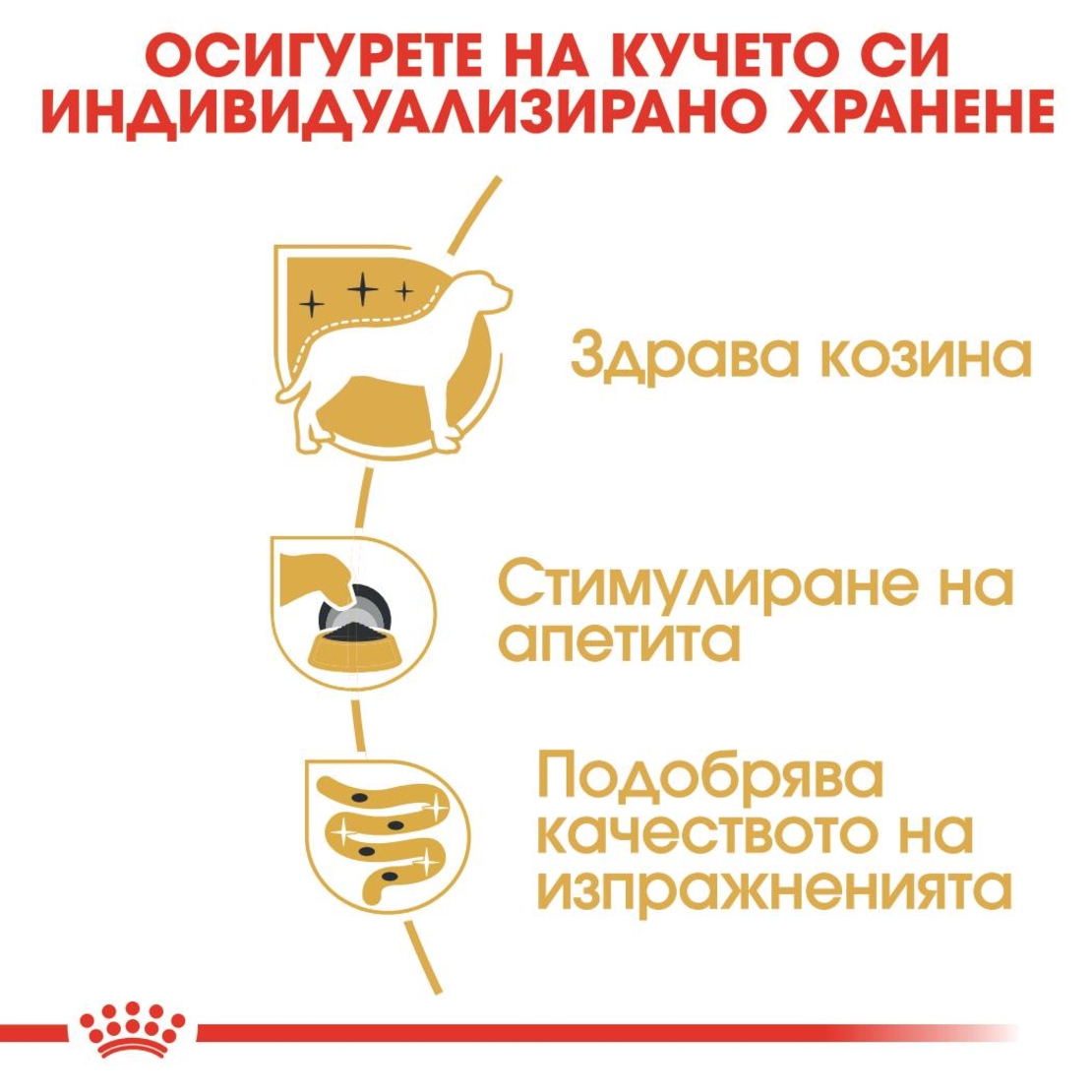 ROYAL CANIN® BHN YORKSHIRE TERRIER ADULT за кучета в зряла възраст порода йоркширски териер - над 10 месеца (пастет)