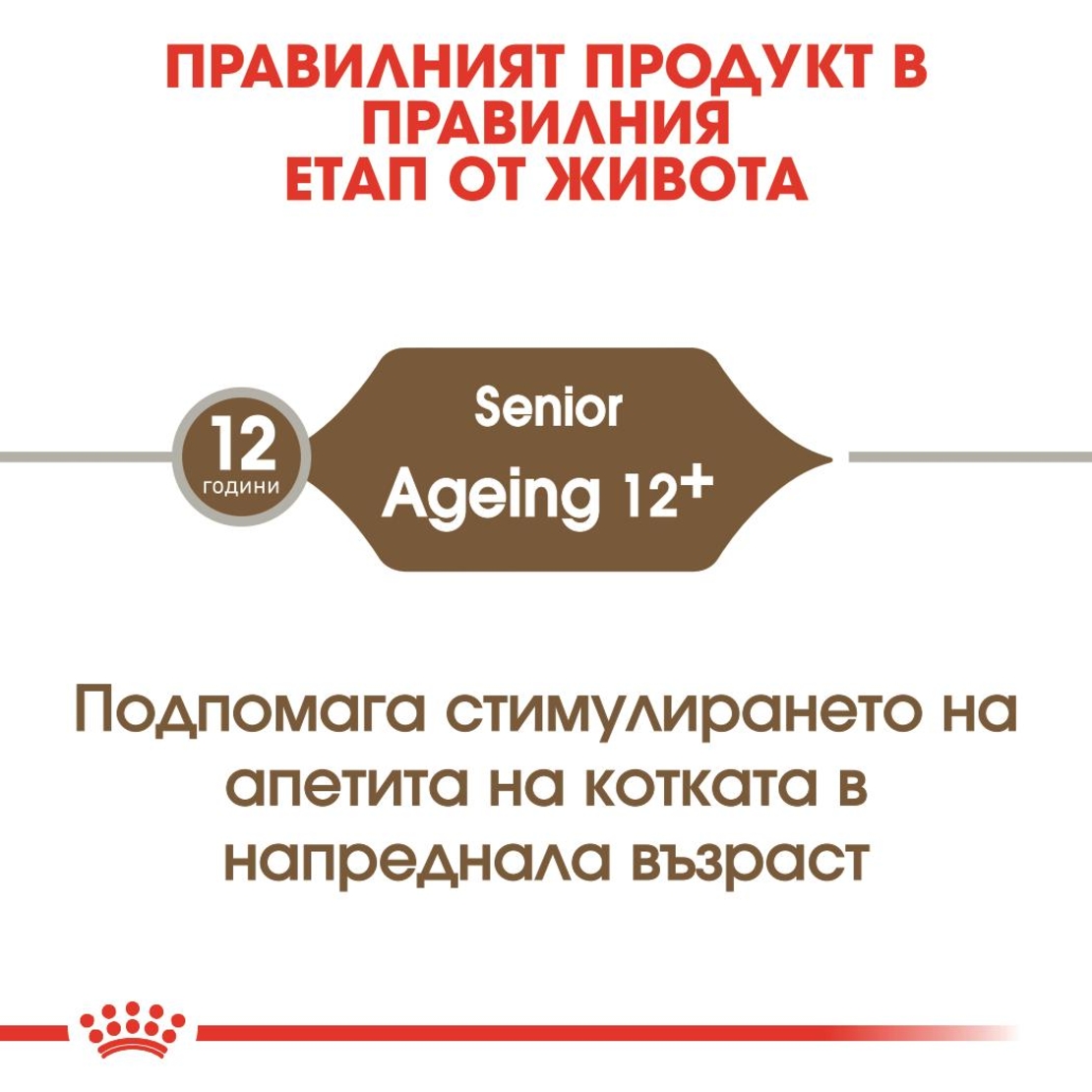 ROYAL CANIN® FHN AGEING 12+ за котки в напреднала възраст над 12 години