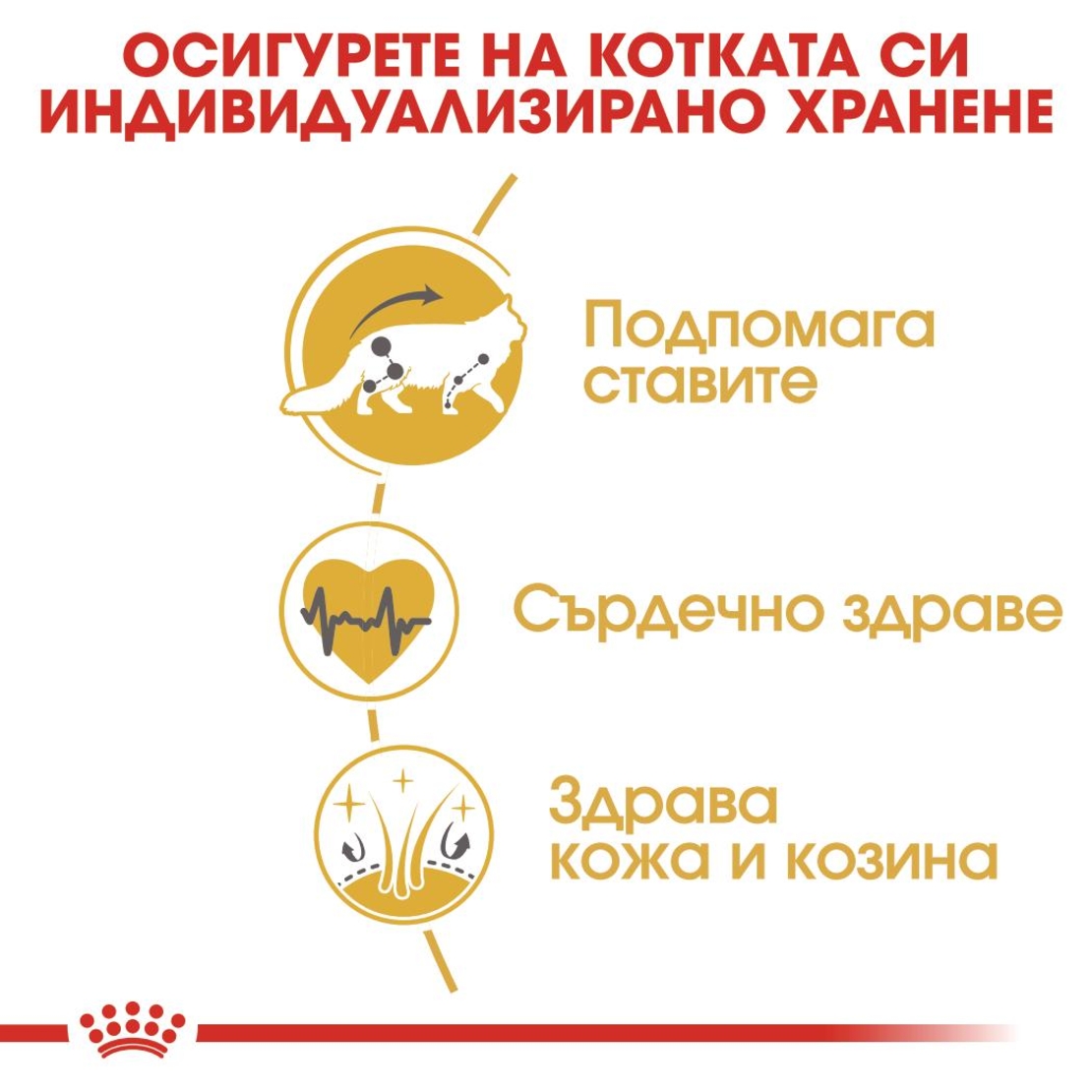 ROYAL CANIN® FBN MAINE COON ADULT за котки в зряла възраст порода мейн куун – над 15 месеца