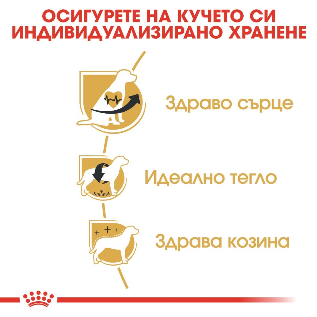 ROYAL CANIN® BHN CAVALIER KING CHARLES ADULT за кучета в зряла и напреднала възраст порода кавалер кинг чарлз шпаньол - над 10 месеца