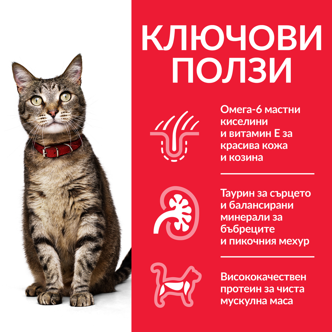 Hill's Science Plan Feline Adult Chicken - Пълноценна суха храна за котки от 1 до 6 години с пилешко