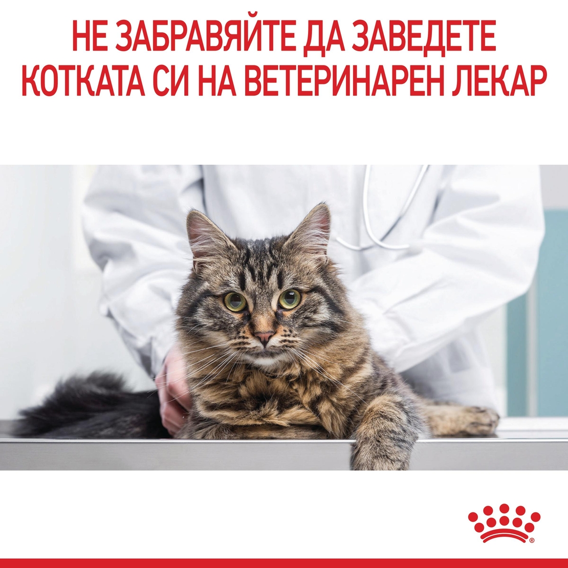 ROYAL CANIN® FCN CARE DIGEST SENSITIVE CAT за котки в зряла възраст (хапки в сос)