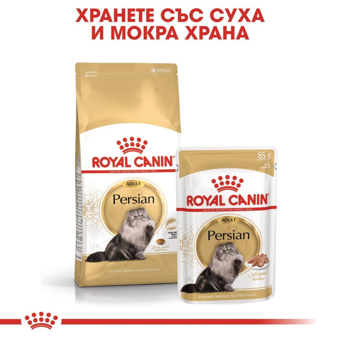 ROYAL CANIN® FBN PERSIAN ADULT за персийски котки в зряла възраст - над 12 месеца