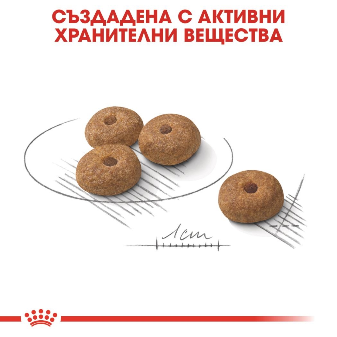 ROYAL CANIN® CCN MINI STERILISED за кастрирани кучета в зряла възраст от дребни породи (от 1 до 10 кг) - над 10 месеца - кучета със склонност към натрупване на наднормено тегло