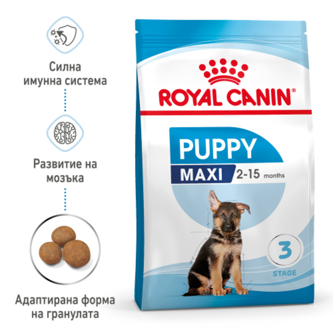 ROYAL CANIN® SHN MAXI PUPPY за подрастващи кучета от едри породи (тегло в зряла възраст от 26 до 44 кг) - до 15 месеца