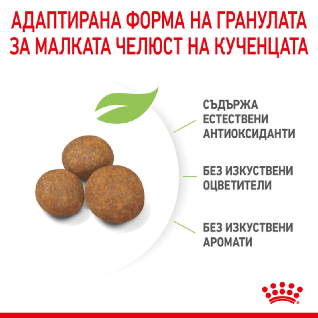 ROYAL CANIN® SHN GIANT PUPPY за подрастващи кучета от гигантски породи (тегло в зряла възраст над 45 кг) - до 8 месеца