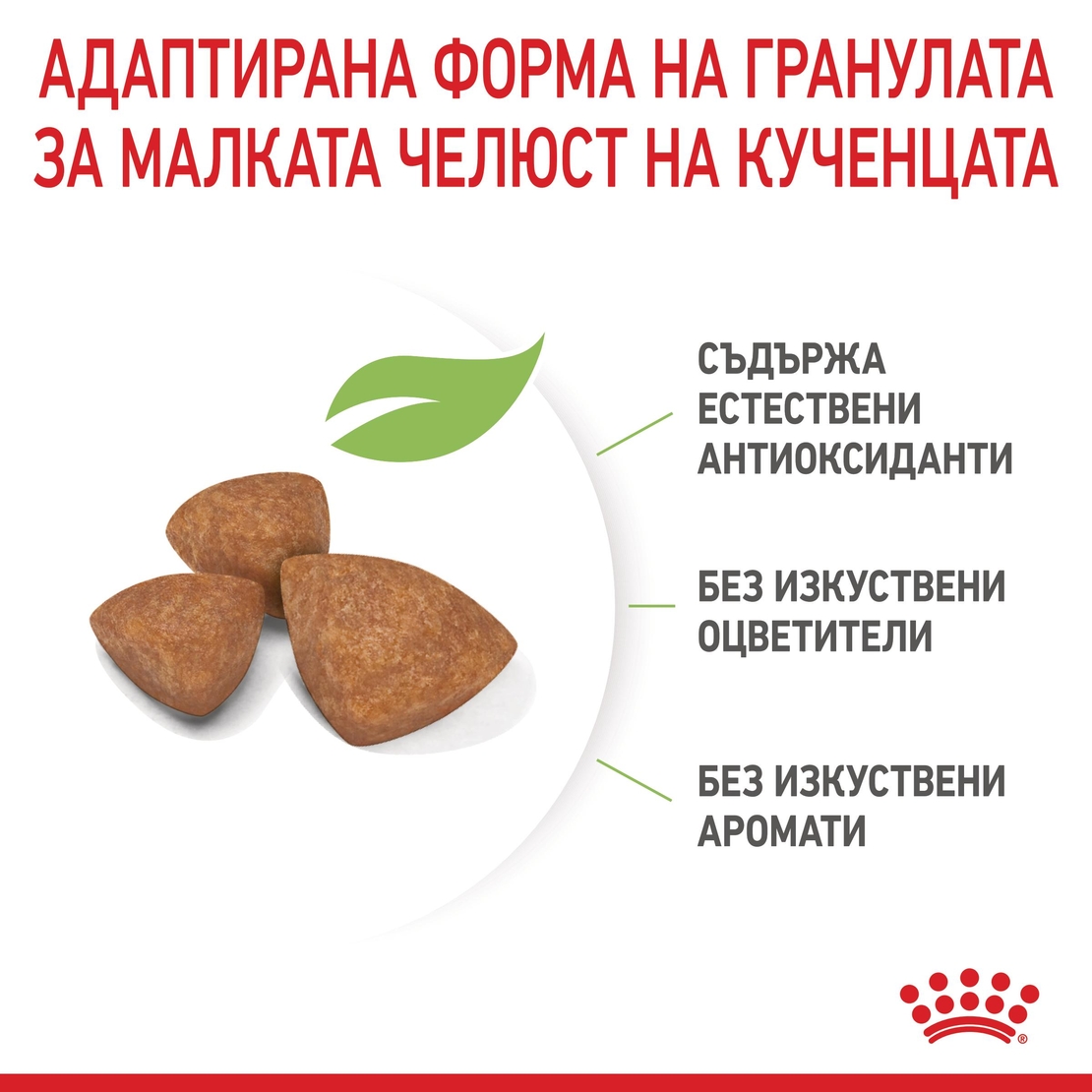 ROYAL CANIN® SHN X-SMALL PUPPY за подрастващи кучета от миниатюрни породи (тегло в зряла възраст до 4 кг) - до 10 месеца