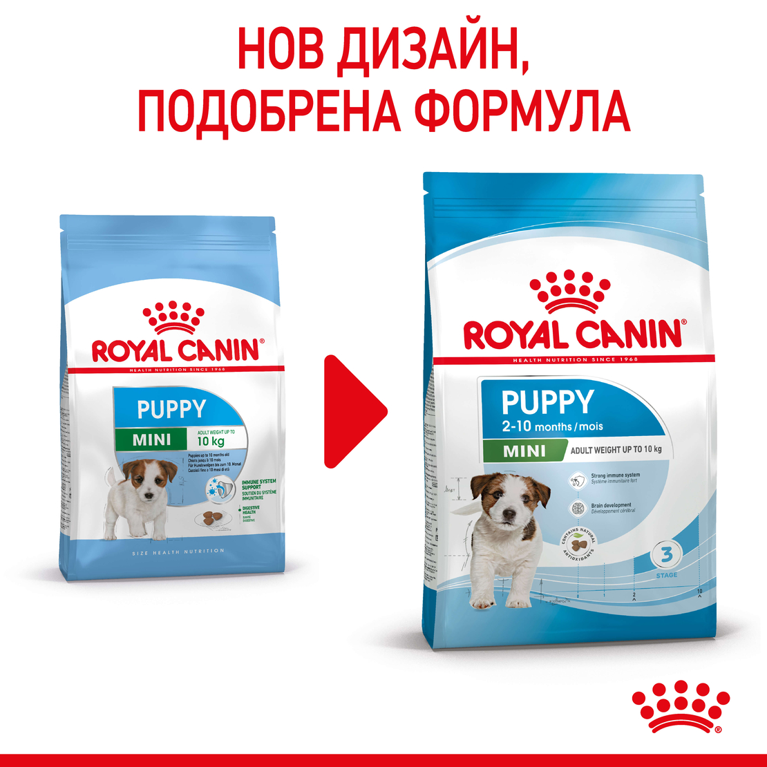 ROYAL CANIN® SHN MINI PUPPY за подрастващи кучета от дребни породи (тегло в зряла възраст до 10 кг) - до 10 месеца