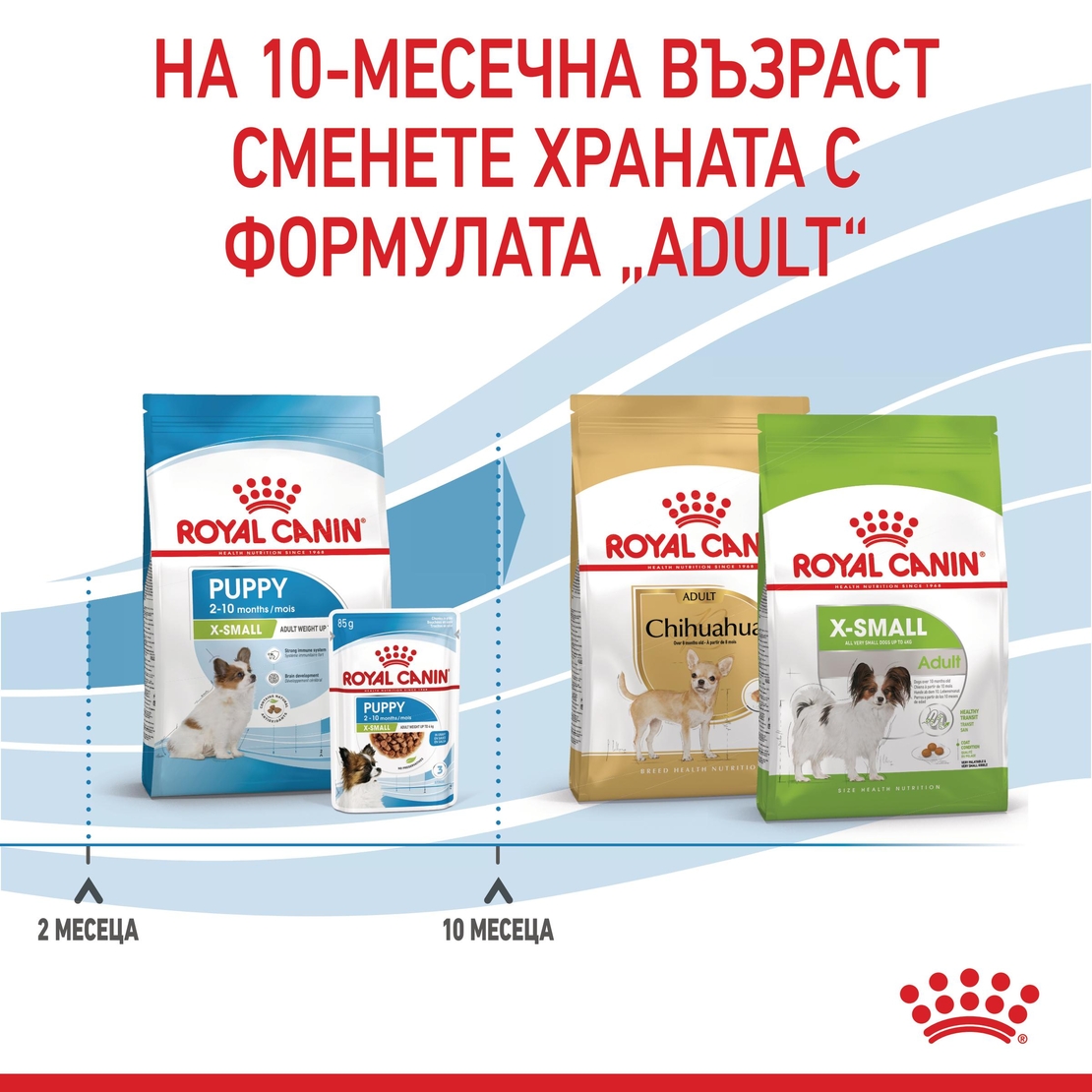 ROYAL CANIN® SHN X-SMALL PUPPY за подрастващи кучета от миниатюрни породи (тегло в зряла възраст до 4 кг) - до 10 месеца