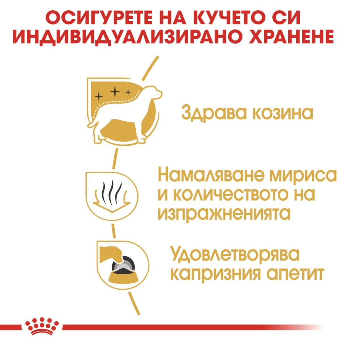 ROYAL CANIN® BHN MALTESE ADULT за кучета в зряла и напреднала възраст порода малтийска болонка - над 10 месеца