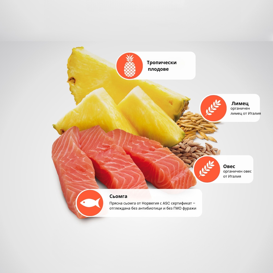 N&D Tropical Selection Dog Adult MINI Salmon and Tropical fruits – суха храна за кучета над 1 година от дребни породи, със сьомга, спелта, овес и тропически плодове