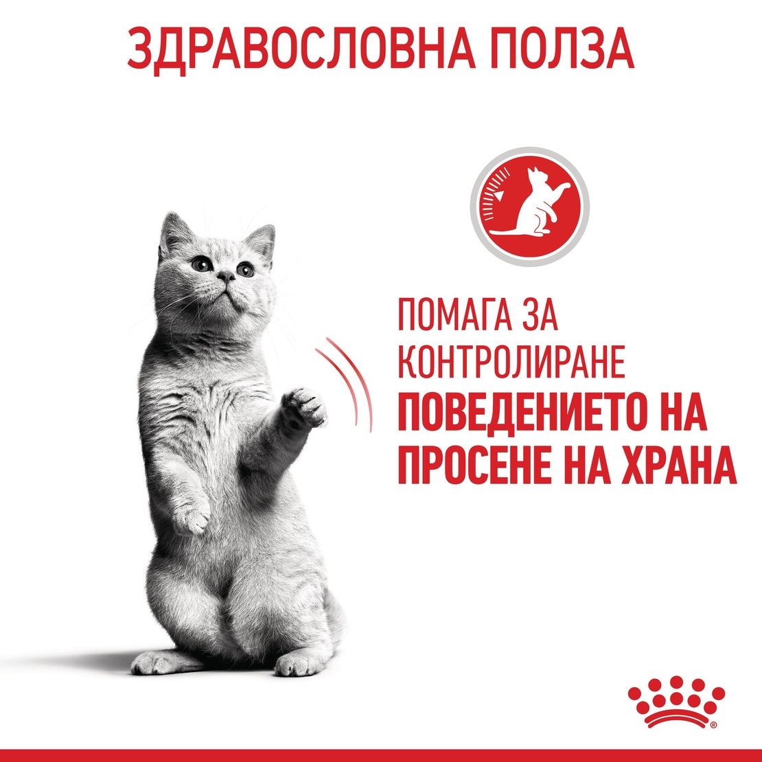 ROYAL CANIN® FCN APPETITE CONTROL CARE за котки в зряла възраст
