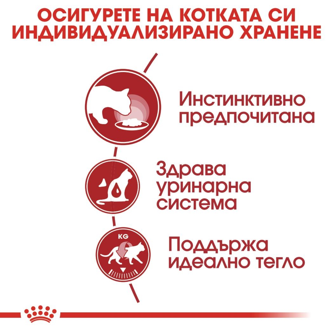 ROYAL CANIN® FHN INSTINCTIVE за котки в зряла възраст на 12 месеца (малки хапки в сос)