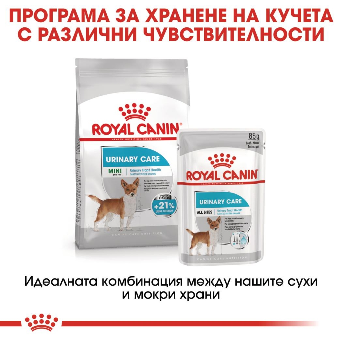 ROYAL CANIN® CCN URINARY CARE за кучета в зряла възраст над 10 месеца - с предразположеност към уринарна чувствителност