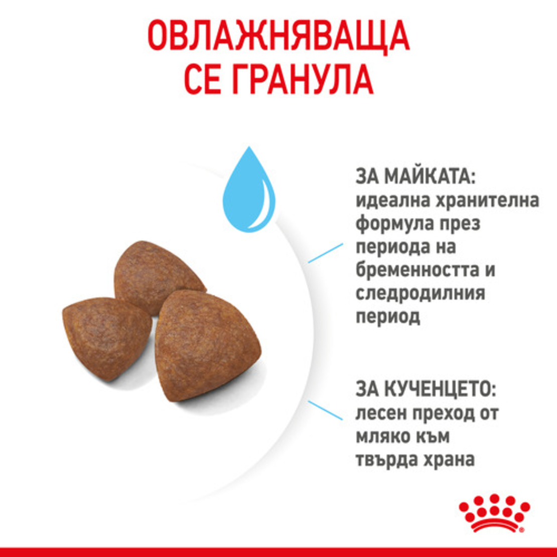 ROYAL CANIN® SHN MEDIUM STARTER за женски кучета от средни породи (от 11 до 25 кг) и нейните кученца: в края на бременността и по време на кърмене - период на отбиване на подрастващи кученца на възраст до 2 месеца