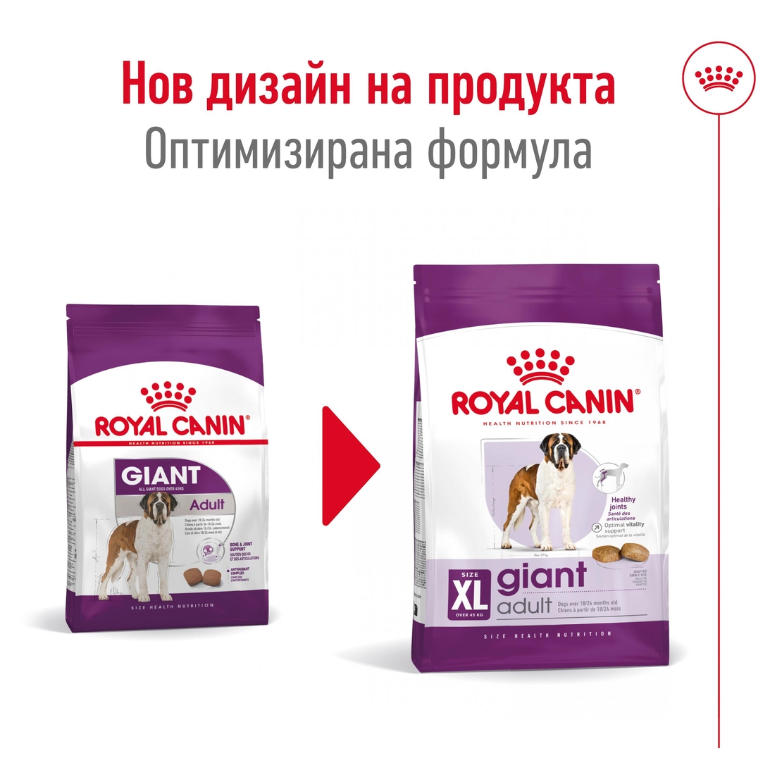 ROYAL CANIN® SHN GIANT ADULT – за кучета в зряла възраст от гигантски породи (над 45 кг) - над 18/24 месеца